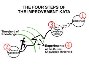 Kata Practice for Scientific-Thinking Skill and Mindset